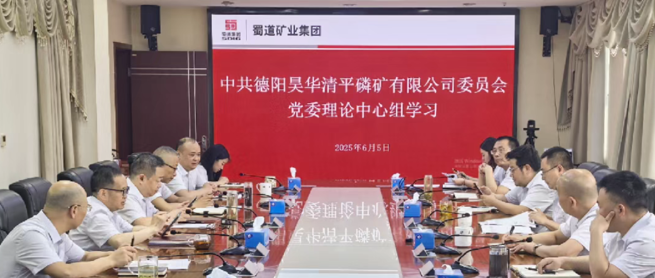 公司黨委中心組專題學習研討中央八項規定精神